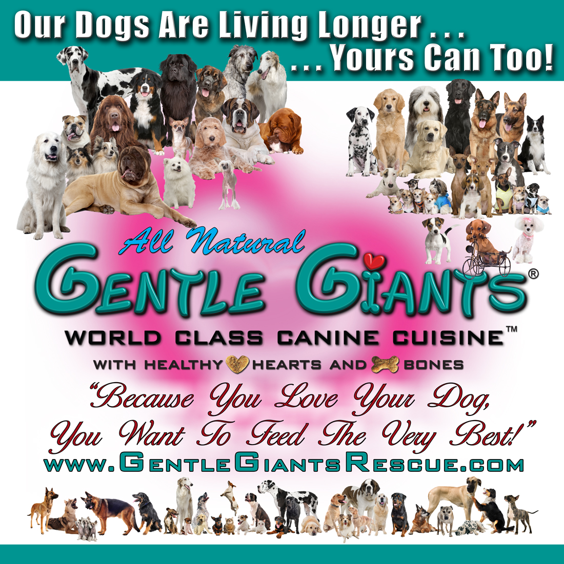 Best dog food for french mastiff sale